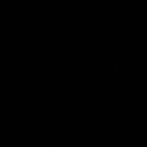 Meet your Posher, Celeste